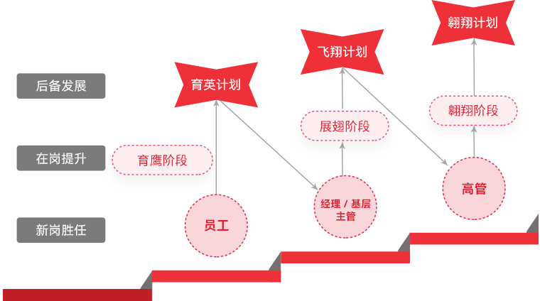 尊龙集团官网 "雄鹰计划"人才梯队培养